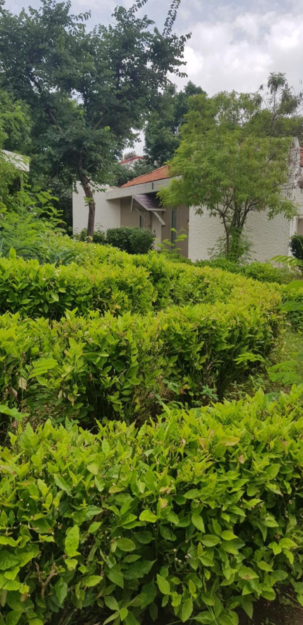 The Meadows Resort And Spa Aurangābād Habitación foto